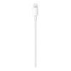 Apple USB-C to Lightning Cable 1m (MM0A3) (EU)