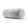 Beats by Dr. Dre Pill 2.0 (White)