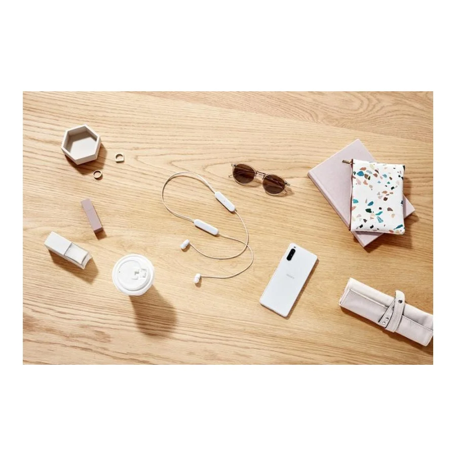 Sony WI-C100 White (WIC100W.CE7)