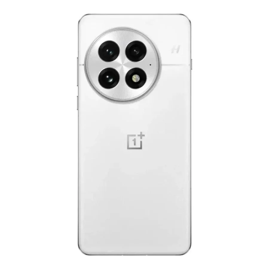 OnePlus 13 12/256GB Arctic Dawn
