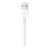 Apple Watch Magnetic Charging Cable 2m (MJVX2, MU9H2) (EU)