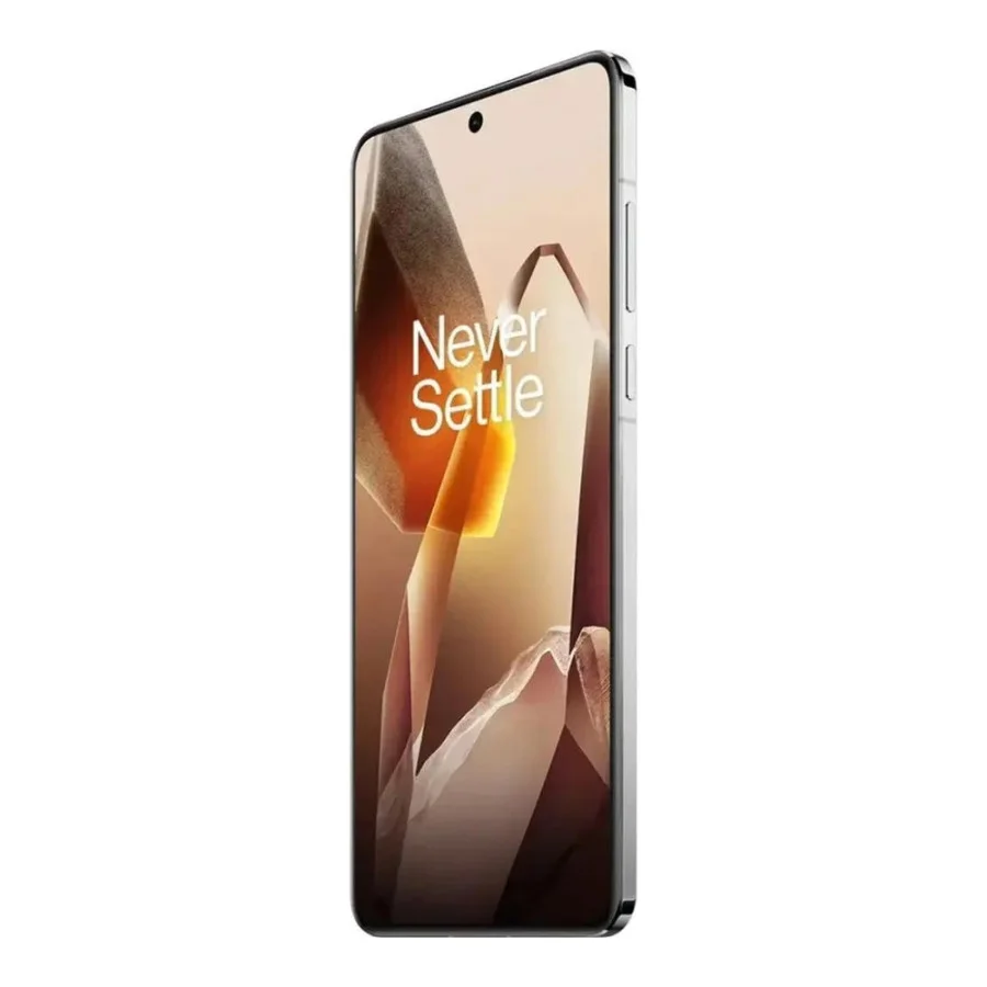 OnePlus 13 12/256GB Arctic Dawn