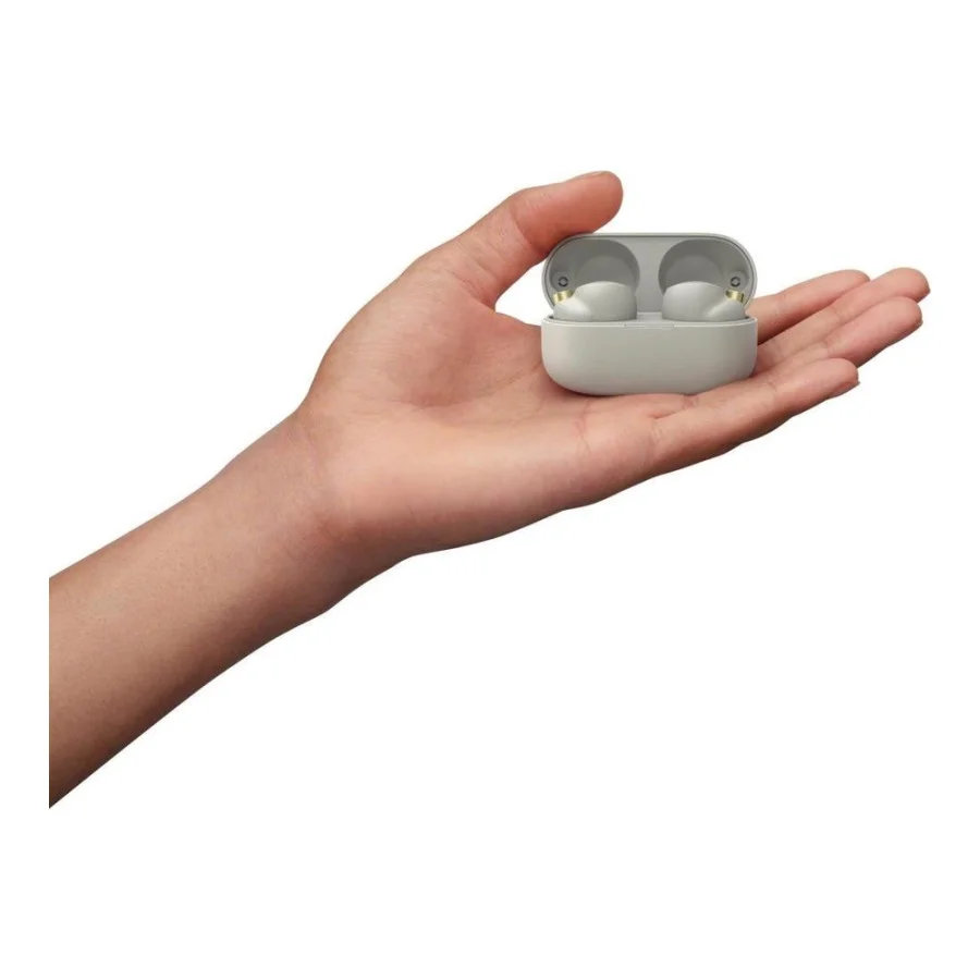 Sony WF-1000XM4 Silver (WF-1000XM4S)