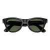 Ray-Ban Meta Skyler Standard - Shiny Black / G-15 Green (RW4010 601/71 52-20)