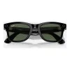 Ray-Ban Meta Wayfarer Large - Shiny Black / G-15 Green (RW4008 601/71 53-22)