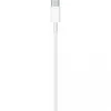 Apple USB-C to Lightning Cable 1m (MX0K2) (BULK) (High Copy)