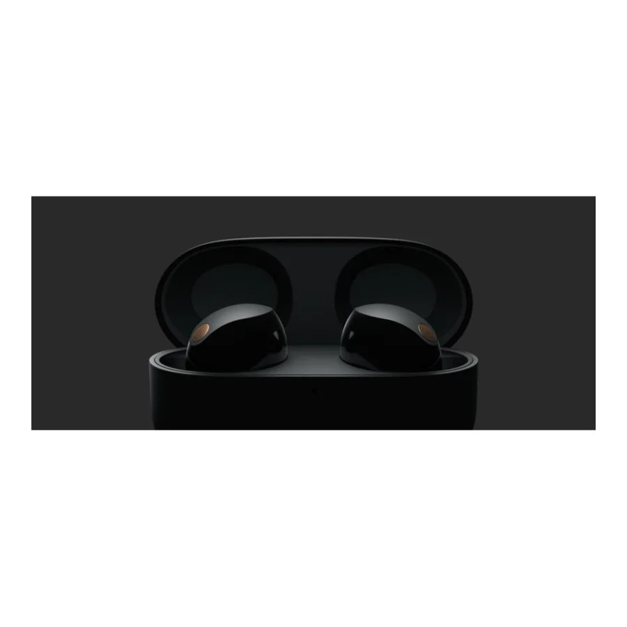 Sony WF-1000XM5 Black (WF1000XM5B.CE7)