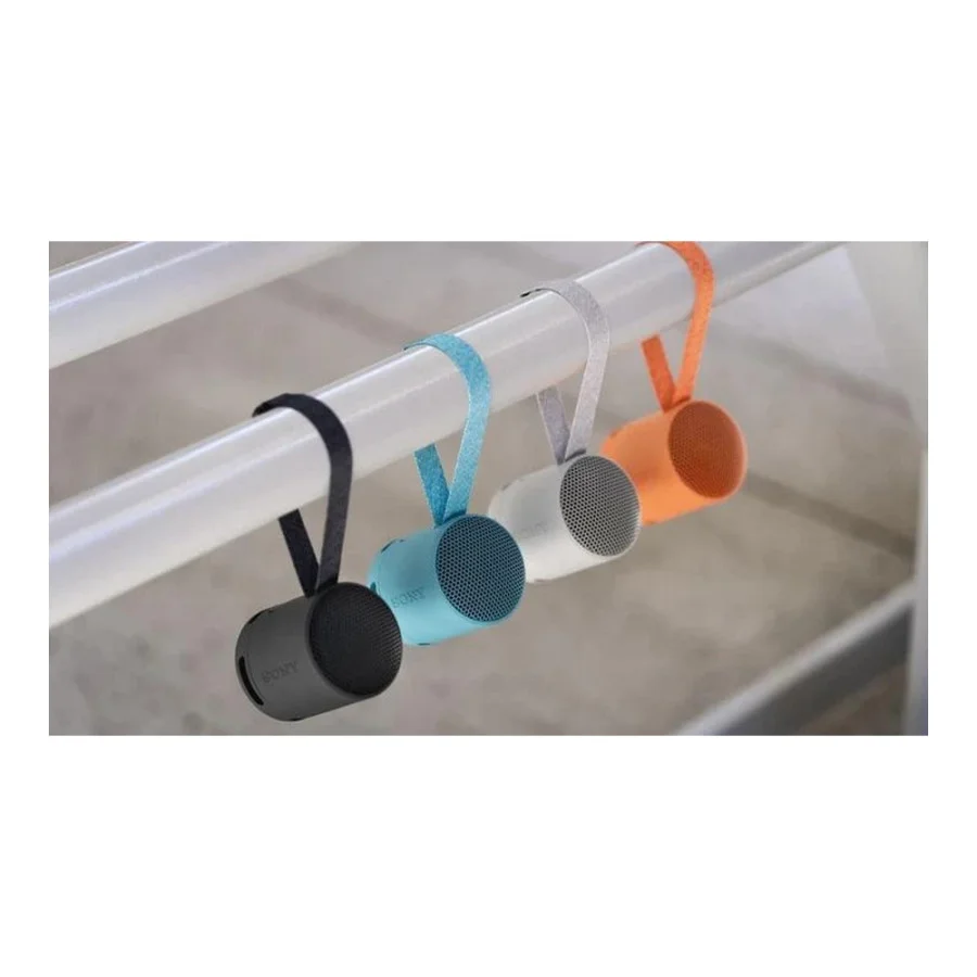 Sony SRS-XB100 Black (SRSXB100B)