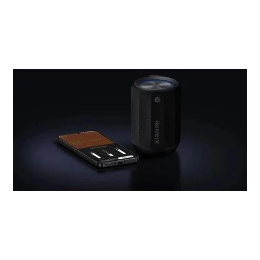 Xiaomi Bluetooth Mini (QBH4274GL)