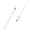 Apple USB-C to Lightning Cable 1m (MUQ93)