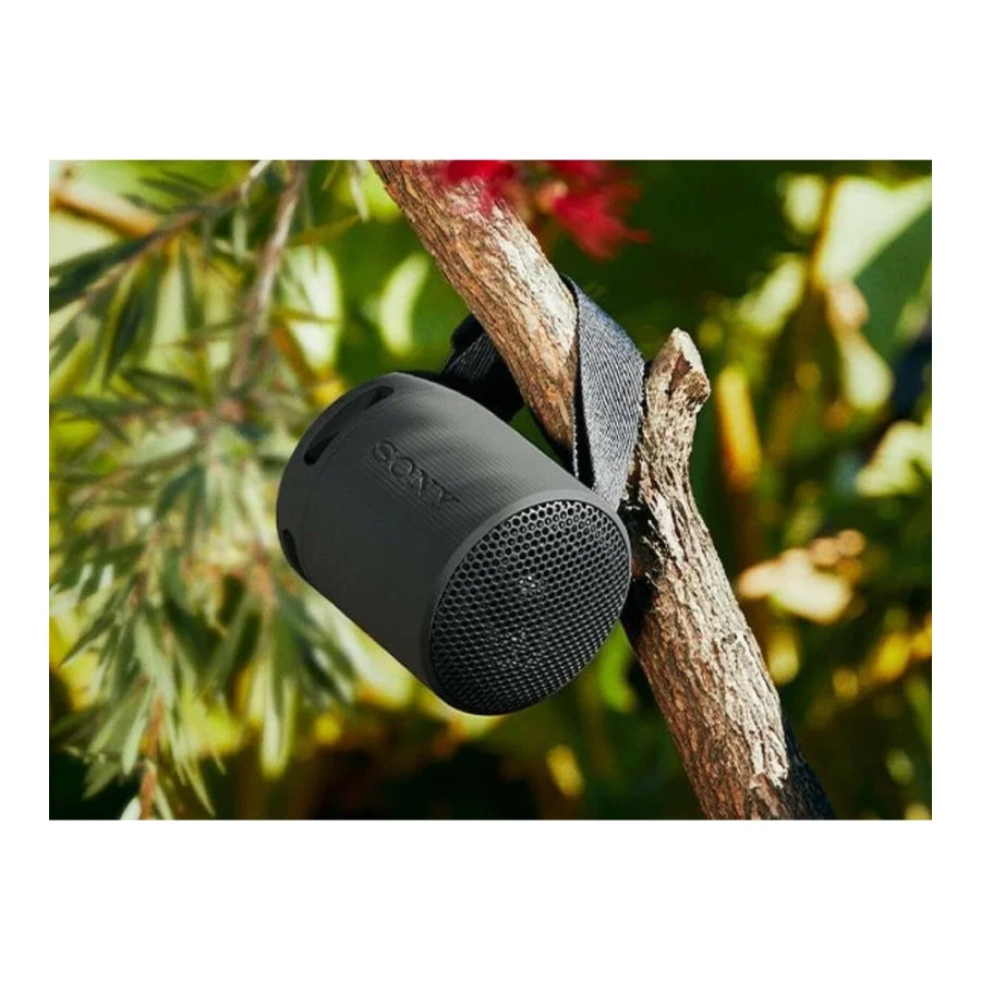 Sony SRS-XB100 Black (SRSXB100B)