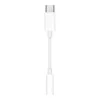 Apple USB-C to 3.5 mm Headphone Jack Adapter (MU7E2)