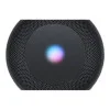 Apple HomePod mini Space Gray (MY5G2)
