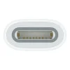 Apple USB-C to Apple Pencil Adapter (MQLU3) (EU)