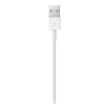 Apple Lightning to USB Cable 1m (MUQW3) (EU)