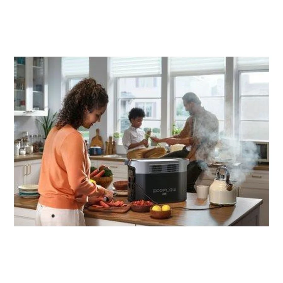 EcoFlow DELTA 2 Max (EFDELTA2Max-EU)