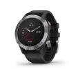 Garmin Fenix 6 Silver (010-02158-00)