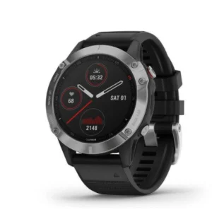 Garmin Fenix 6 Silver (010-02158-00)
