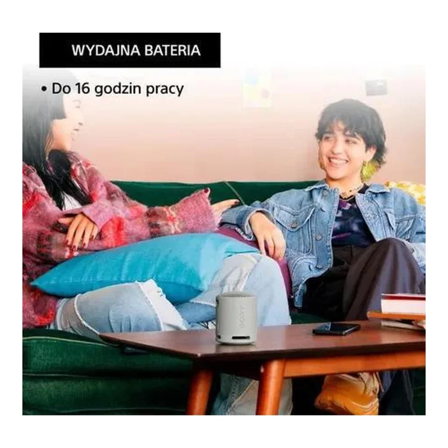 Sony SRS-XB100 Grey (SRSXB100H.CE7)