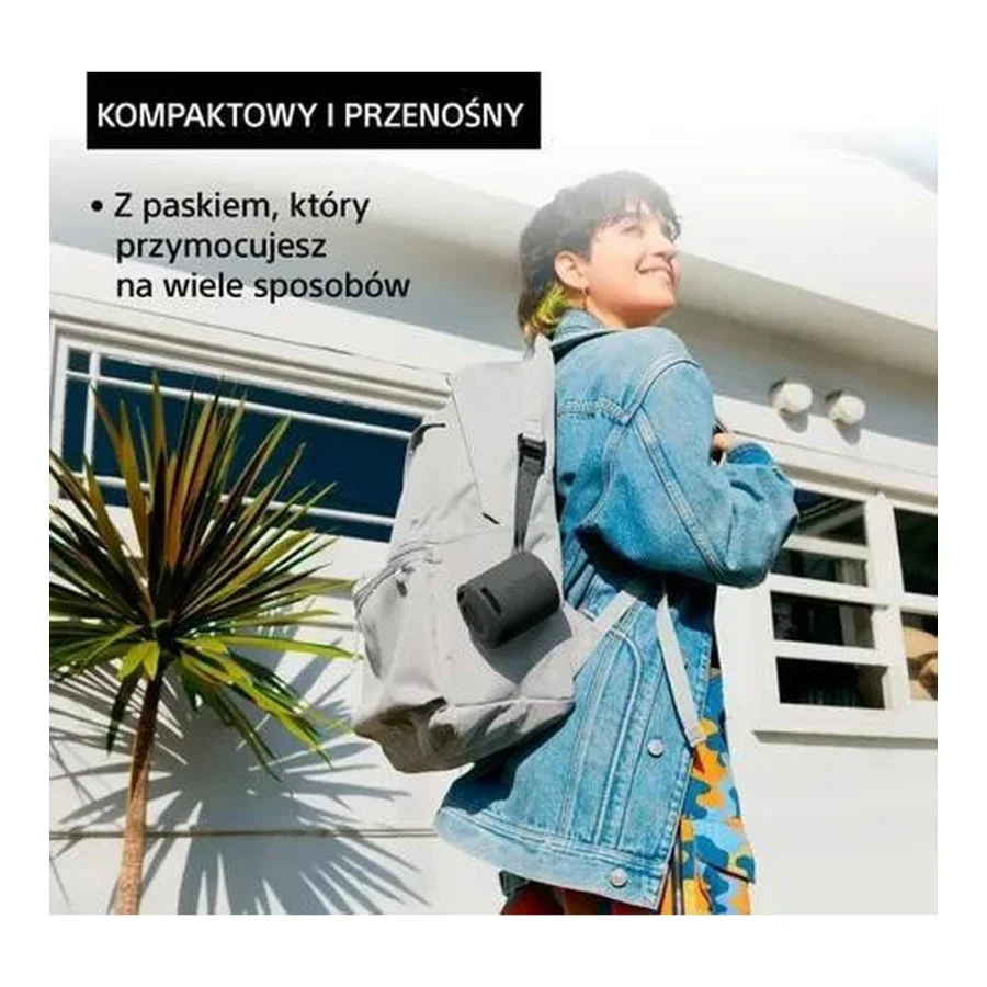 Sony SRS-XB100 Grey (SRSXB100H.CE7)