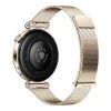 HUAWEI Watch GT 6 41 mm Gold (55020FUK)