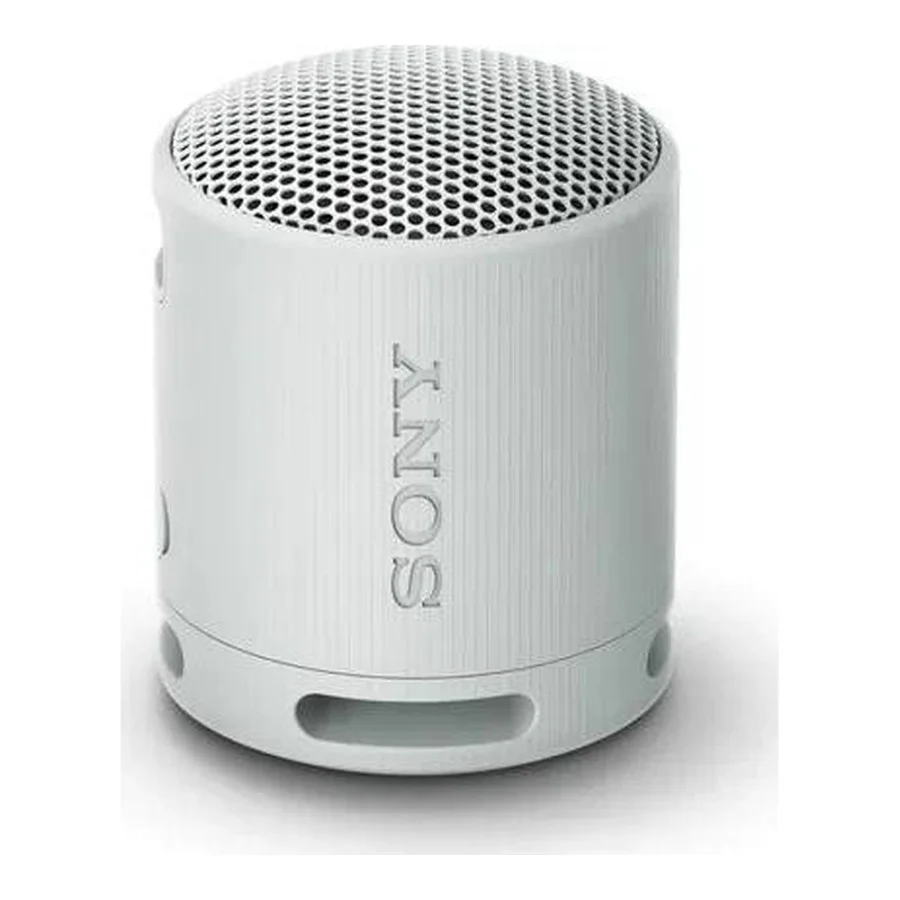 Sony SRS-XB100 Grey (SRSXB100H.CE7)