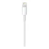 Apple Lightning to USB Cable 2m (MD819) (EU)