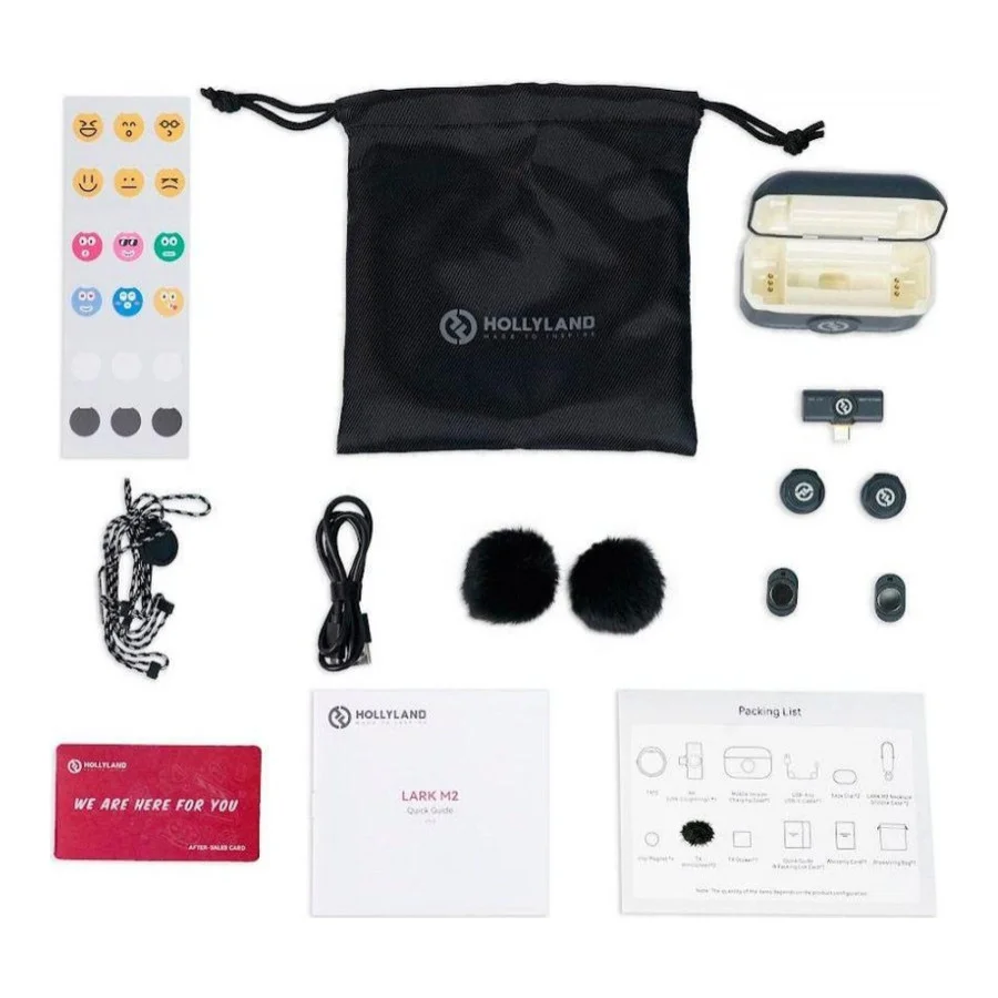 Hollyland Lark M2 Duo with USB-C Plug