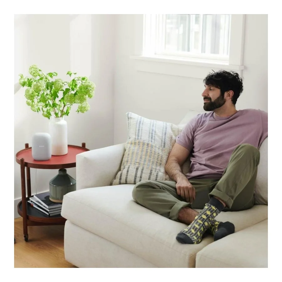 Google Nest Audio Chalk (GA01420)