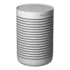 Bang & Olufsen Beosound Explore Grey Mist