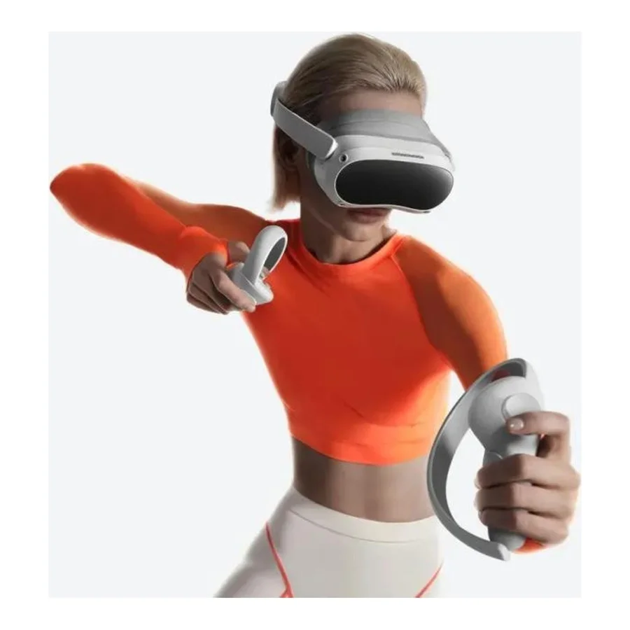 Pico 4 8/256GB (PICO4SG8G256G)