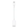 USB Apple USB-C to USB Adapter (MJ1M2) (High Copy)