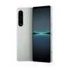 Sony Xperia 1 V 12/256GB Platinum Silver