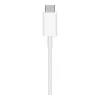 Apple MagSafe Charger (MHXH3) (EU)
