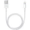 Apple Lightning/USB 1m (MQUE2) (High Copy)