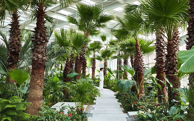 Фото 12 Samsung Galaxy S22 Ultra