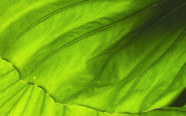 Фото 14 Samsung Galaxy S22 Ultra