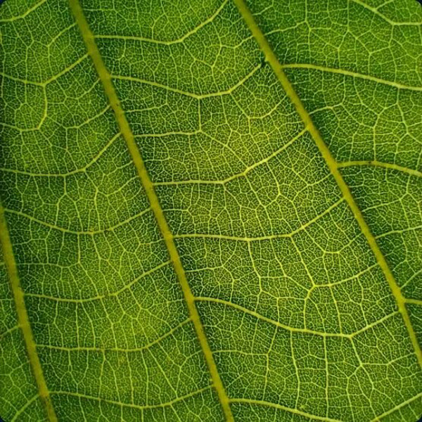 Фото 5 Motorola G20